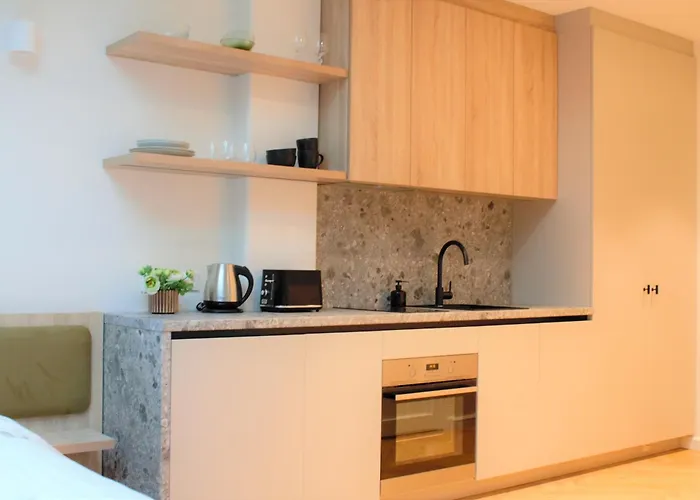 公寓 Kalamaja Loft *